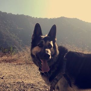 Meet your Posher, Joseph